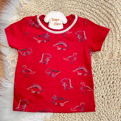 Conj. Camiseta Dinossauros e Bermuda - Vermelho e Mescla